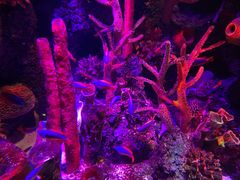 -沈阳海洋探索中心