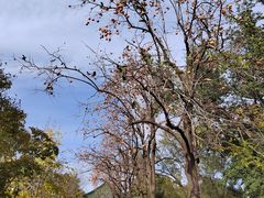 -国家图书馆·古籍馆