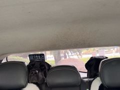 -佳雯宠物医院·皮肤科·内外科(春晓路分院)