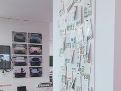 -天猫养车贴膜轻改·蓝电(优匹康桥东路店)