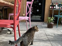 -嘉善老市