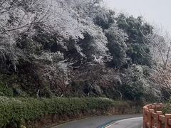 -杭州半山国家森林公园