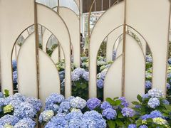 -盈香心动乐园