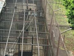 -深圳野生动物园