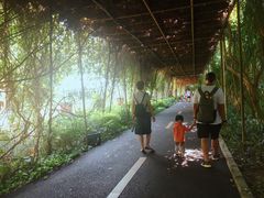 -广东茂名森林公园