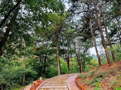 -北京西山国家森林公园