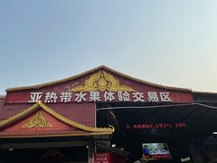 -曼阁市场水果批发市场