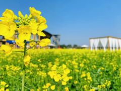 -中国天府农业博览园