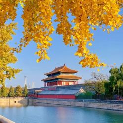 -Oasis Beauty水磨坊科技美肤中心