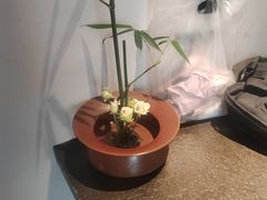 -黄山老妈·土菜(碧桂园店)