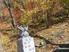 -五女峰国家森林公园