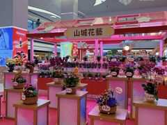 -海港城