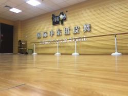 -娜媚舞韵国际中东舞蹈瑜伽