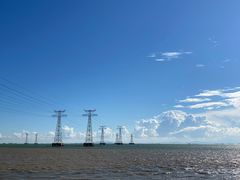 -宝安西湾红树林湿地公园