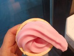 -红鼎坊·老成都火锅(新南门店)