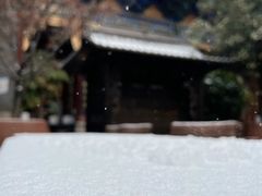 -真庆观