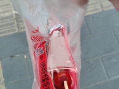-和禄德冰糖葫芦