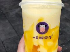 冻冻桂花酸奶-一只酸奶牛(欧亚大观店)