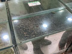 -刘艳明炒货(小心桥店)