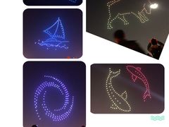 -上海海昌海洋公园