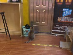-H立方实景剧情密室(天河旗舰店)