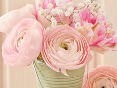 -麦茜哥牛扒城(中银店)