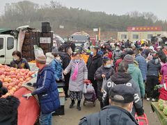 -李村大集