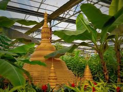 -南宫五洲植物乐园