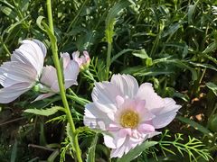 -东华门大街小区