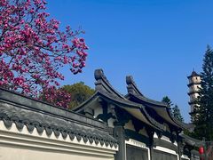 -江心屿景区