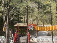 -洛阳白云山景区