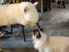 -南京国际贸易中心