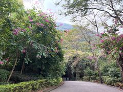-小南山公园