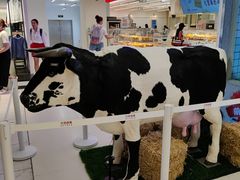 -红星前进面包牛奶公司(君太店)