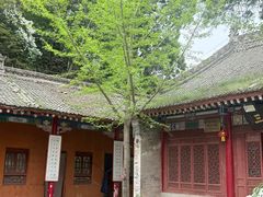 -少华山国家森林公园