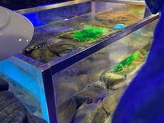 -V-ONE西雅图海鲜自助餐厅(仓山万达广场店)