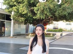 -巨鹏飞梦幻海岸