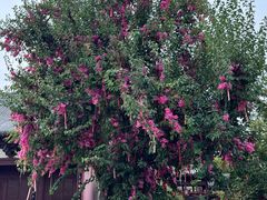 -祥源·阜阳生态乐园