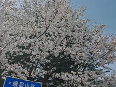 -江南大学(蠡湖校区)