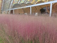 -中国天府农业博览园