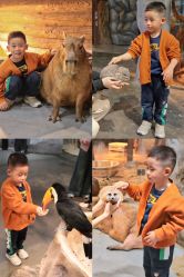 -Zoolung Zoolung动物主题公园(海信广场店)