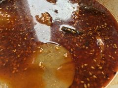 -高记什邡肖麻辣(成都店)