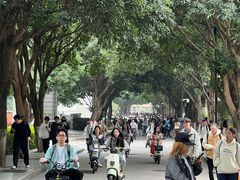 -厦门大学(思明校区)