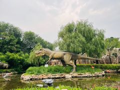 -北京野生动物园