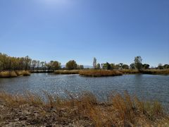 -野鸭湖国家湿地公园