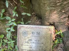 -西湖风景区十里琅珰-五云山