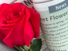 -FEI FEI FLOWER鲜花店·气球派对·宝宝宴布置(虹口德必运动Loft店)