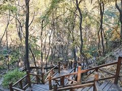-大岭沟猕猴桃谷风景区