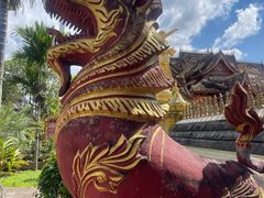 -西双版纳傣族园
