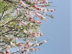 -长广溪湿地公园